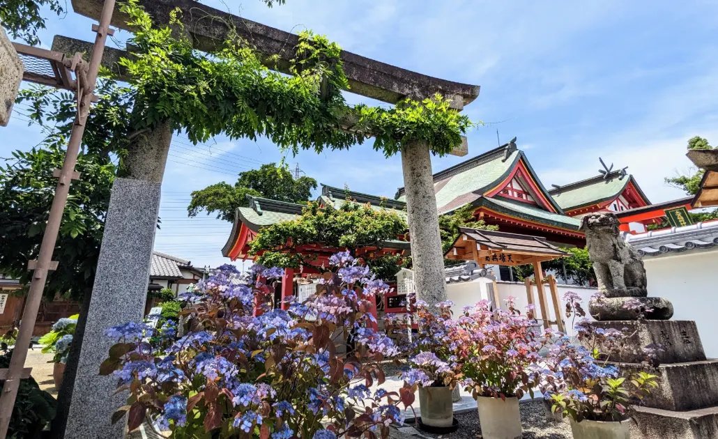 🌸 나카미 신사(奈加美神社) 이미지 5